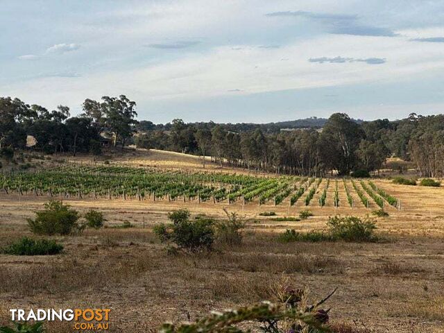 56 Pound Lane Guildford VIC 3451 - photo 4 of 10
