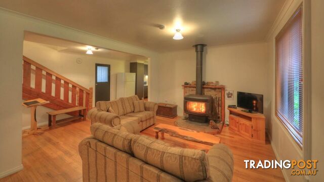 20 Jenico Street Queenstown TAS 7467 - photo 2 of 37