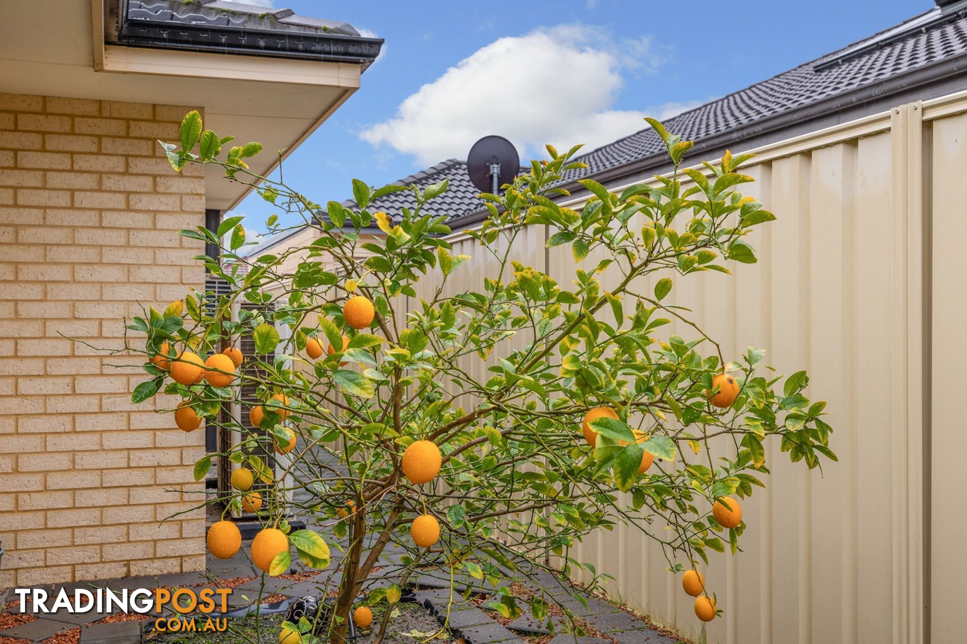 7 Longshaw Circuit Canning Vale WA 6155