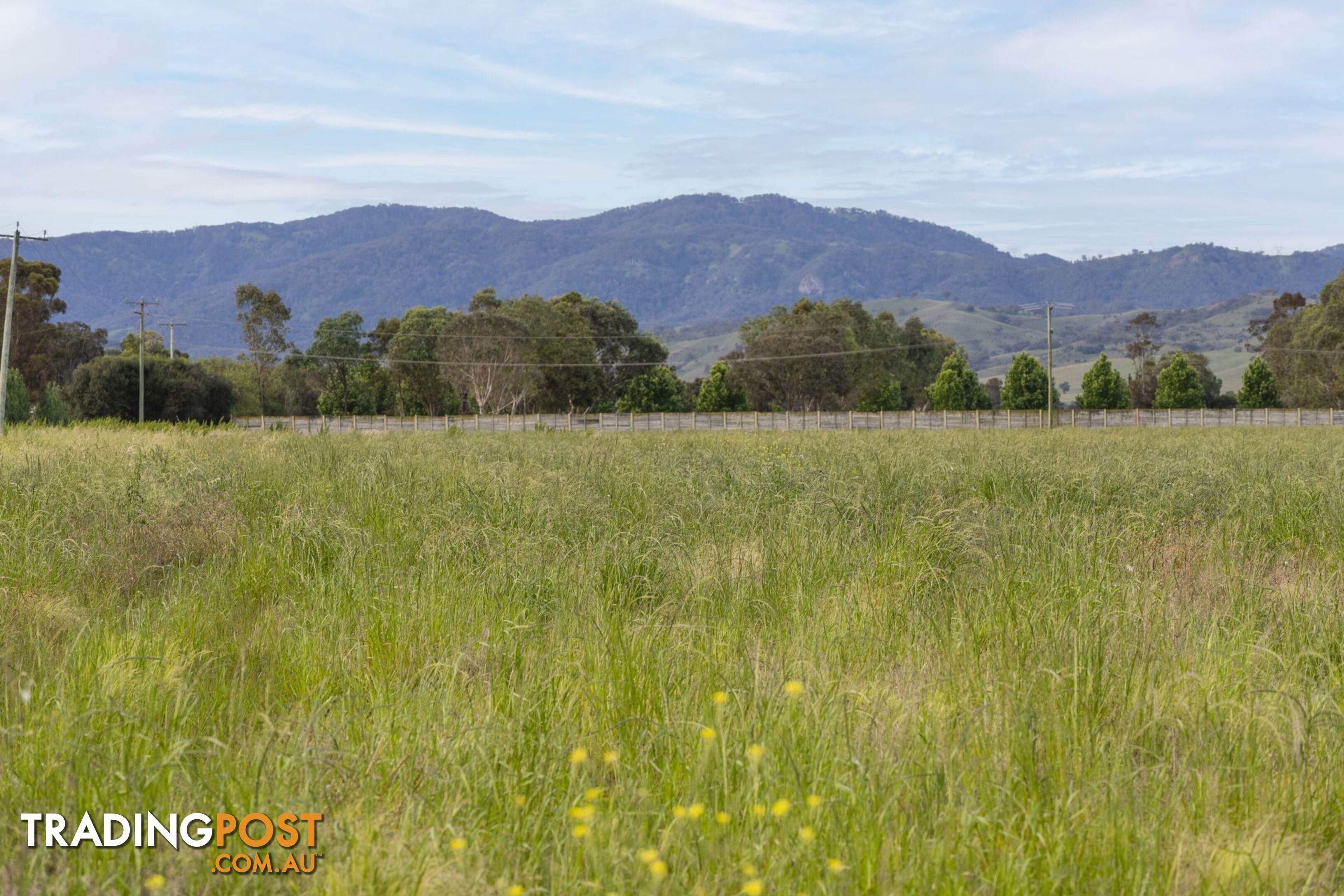 "Windermere" 1068 Segenhoe Road Scone NSW 2337