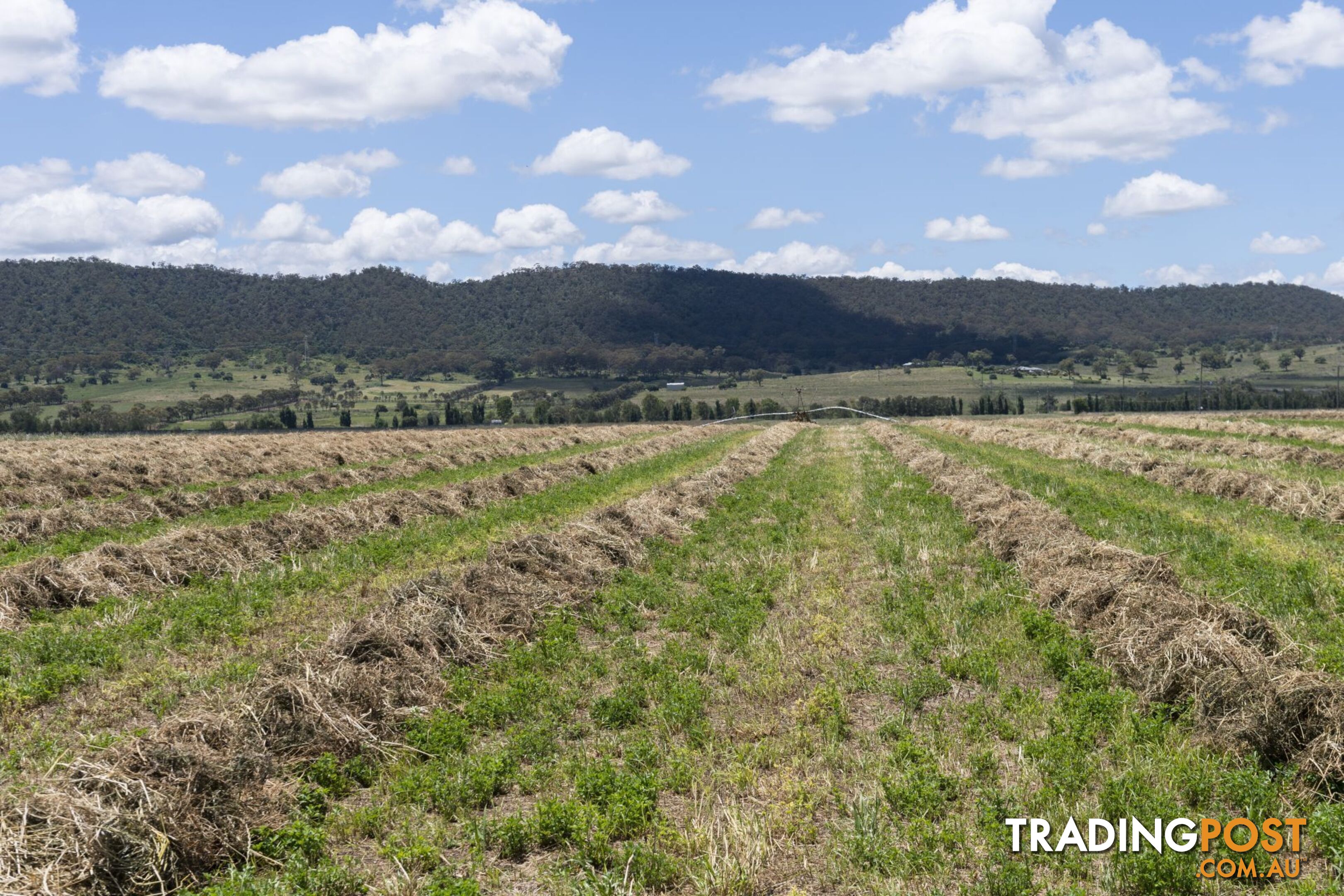 "Windermere" 1068 Segenhoe Road Scone NSW 2337