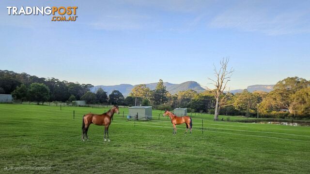 60 Mount Scanzi Road Kangaroo Valley NSW 2577 - photo 5 of 34