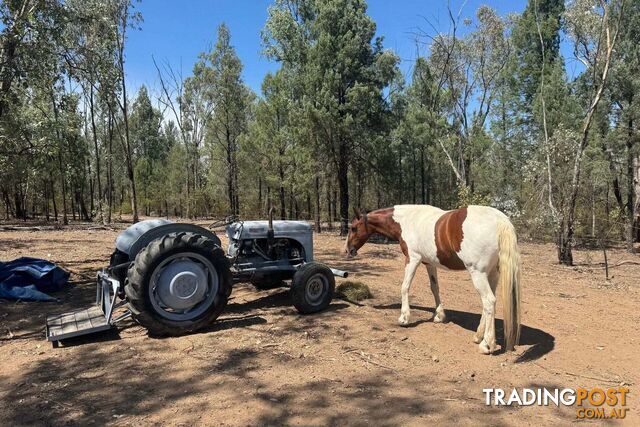 566 Waverley Lane Silver Spur QLD 4385