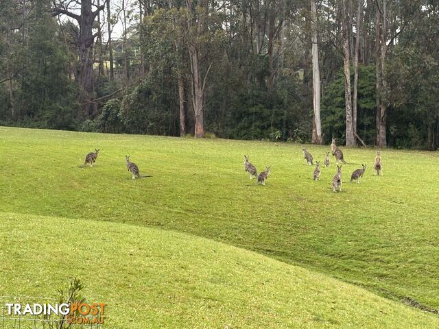 65 Marden lane Kangaroo Valley NSW 2577