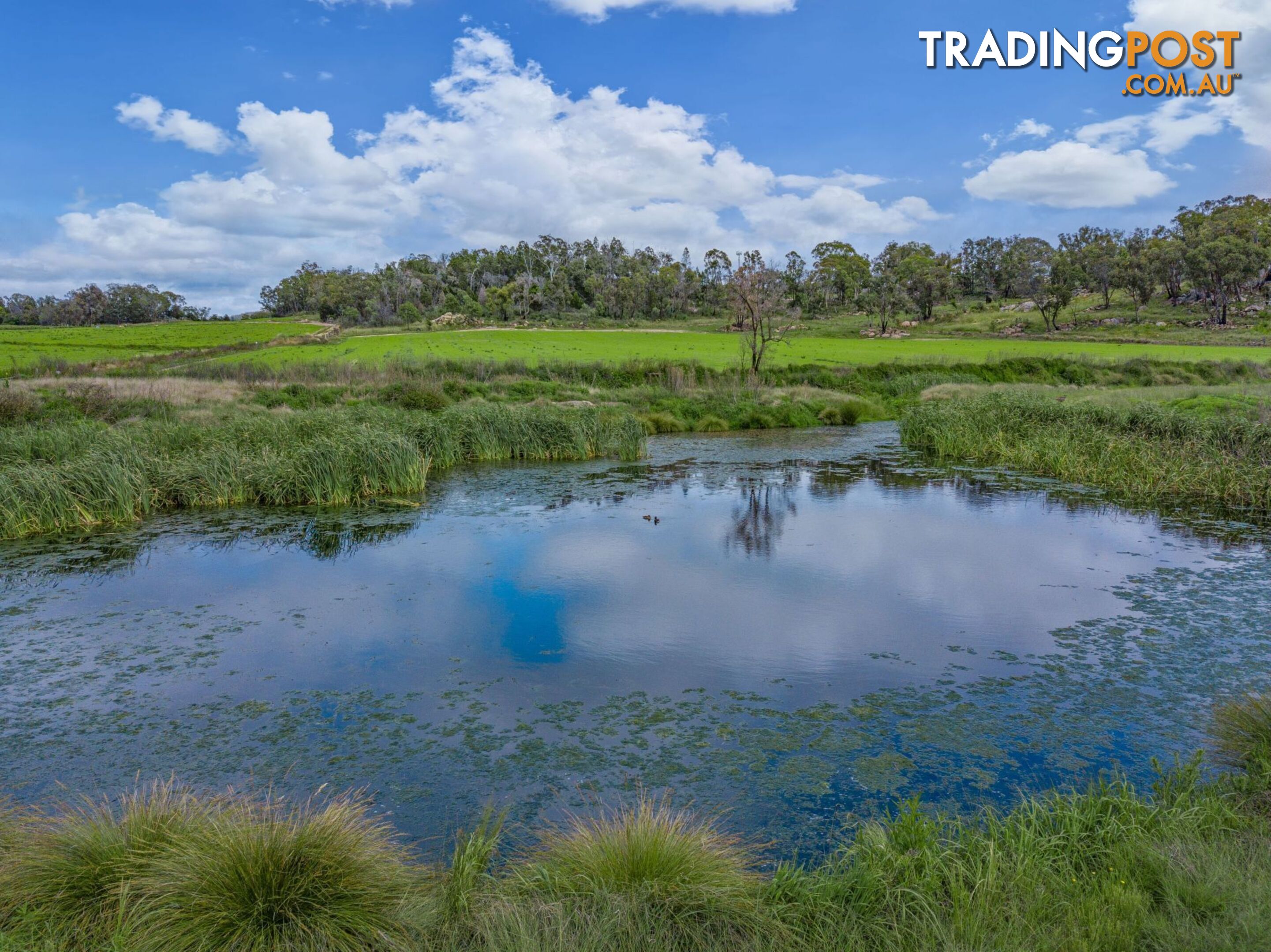 Glen Aplin Gardens 311 Stabiles Road Glen Aplin QLD 4381