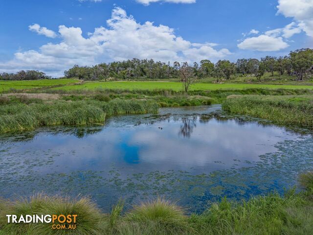 Glen Aplin Gardens 311 Stabiles Road Glen Aplin QLD 4381