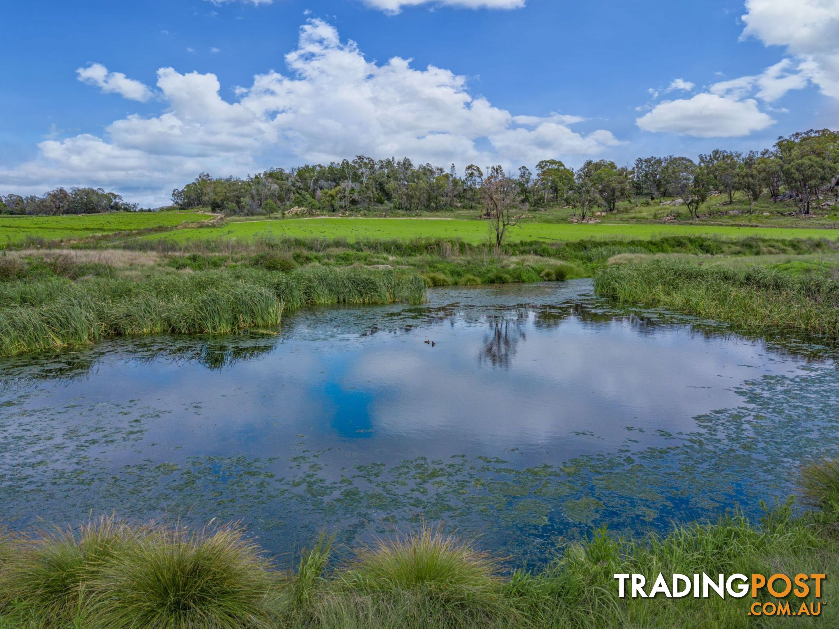 Glen Aplin Gardens 311 Stabiles Road Glen Aplin QLD 4381