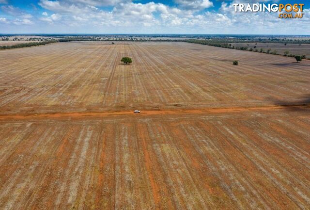 4669 Tabratong Crossing Road Tottenham NSW 2873