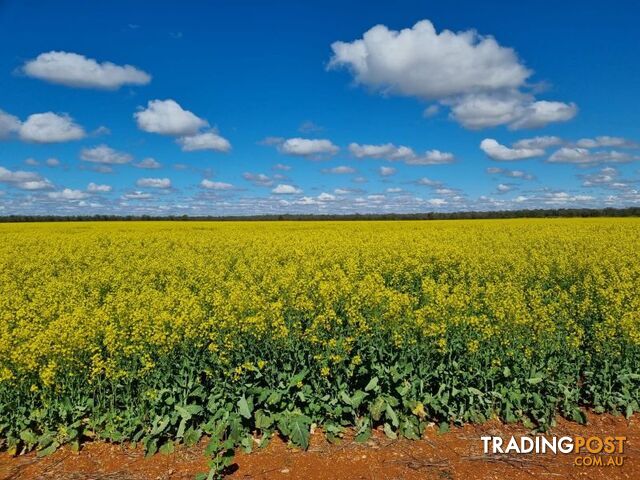 4669 Tabratong Crossing Road Tottenham NSW 2873