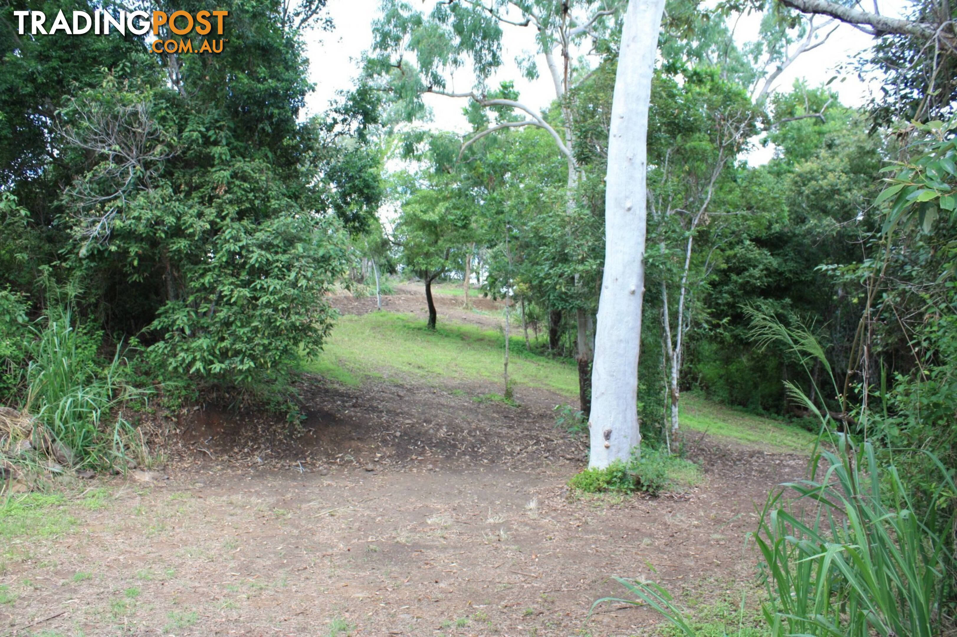 70 Mountain View Woodwark QLD 4802