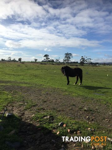 Lot 2 Jumbuk Road Yinnar VIC 3869