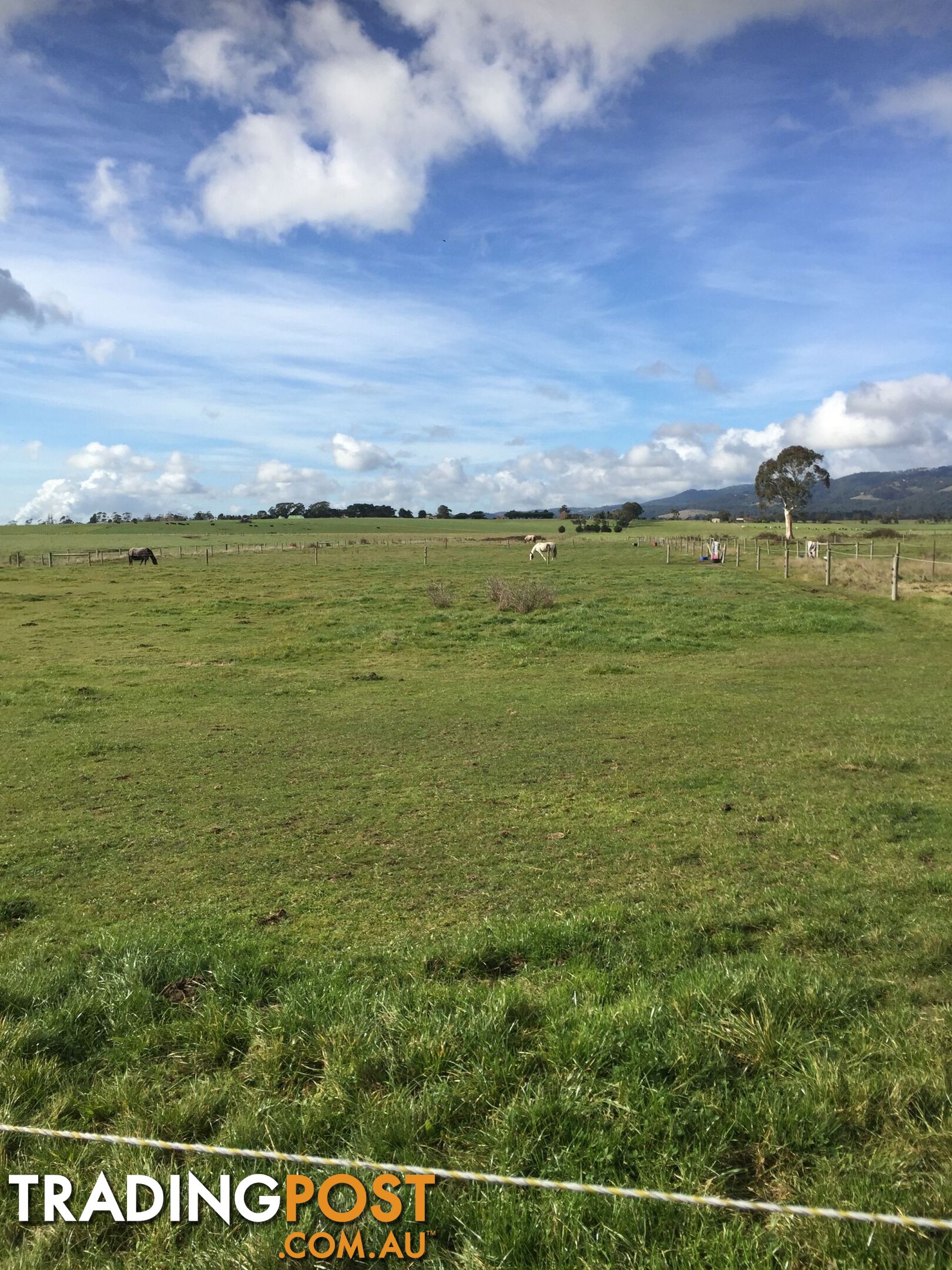 Lot 2 Jumbuk Road Yinnar VIC 3869