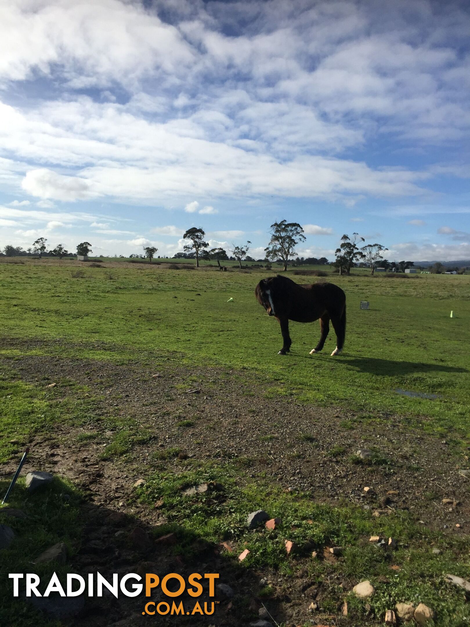 Lot 2 Jumbuk Road Yinnar VIC 3869