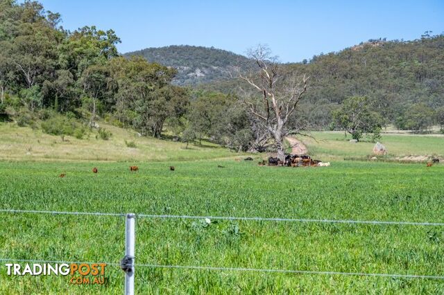 Yarrawa NSW 2328