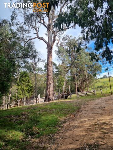 351 Mia Mia Road Merrijig VIC 3875