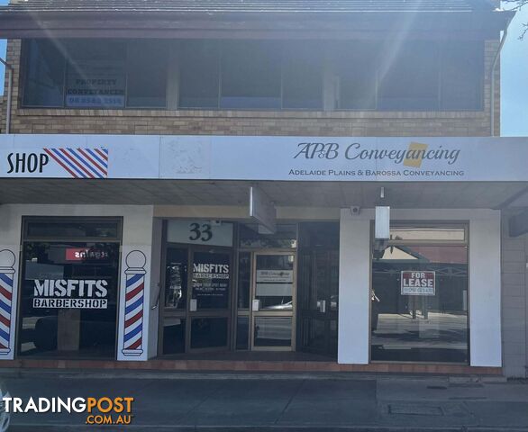 2/33 Murray Street Nuriootpa SA 5355 - photo 2 of 10