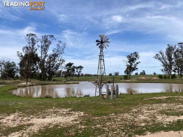 Gilgandra NSW 2827