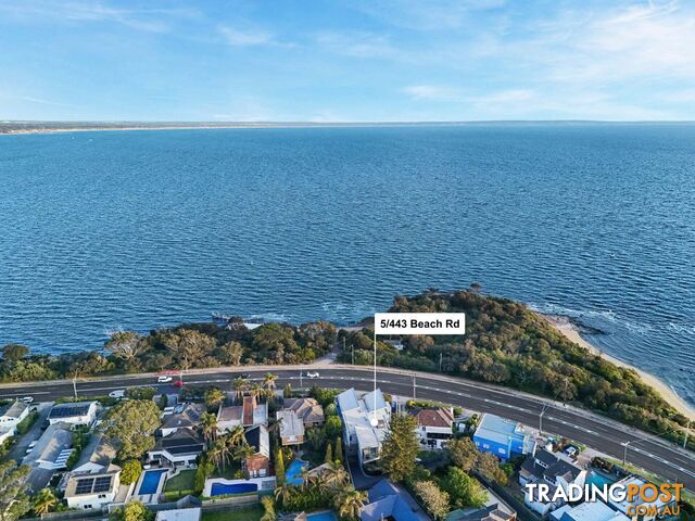 5/443 Beach Road Beaumaris VIC 3193 - photo 3 of 15