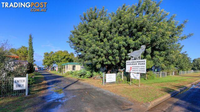 9-17 Skuthorpe Street Gulargambone NSW 2828