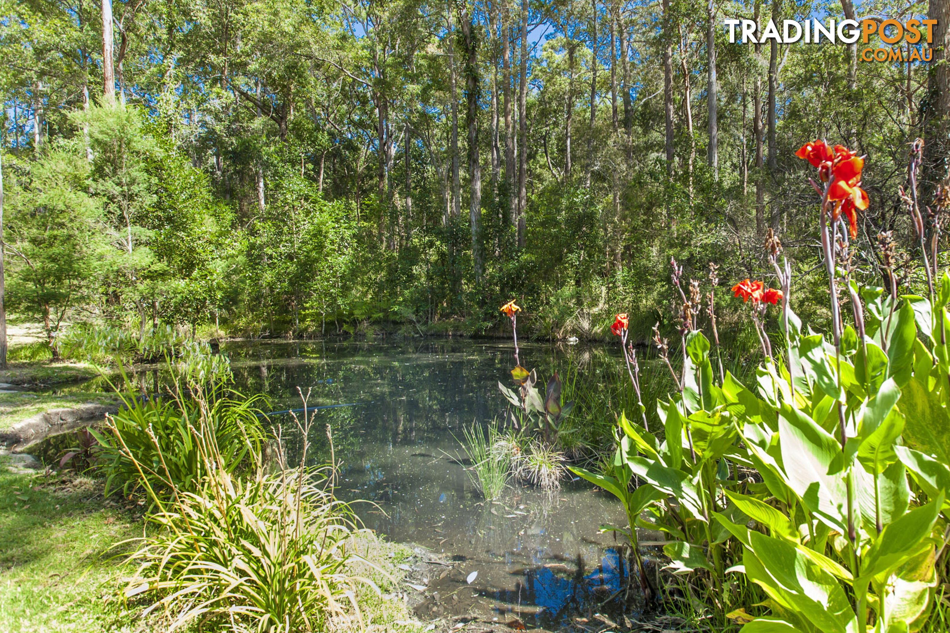 1195 THE BUCKETTS WAY LIMEBURNERS CREEK NSW 2324