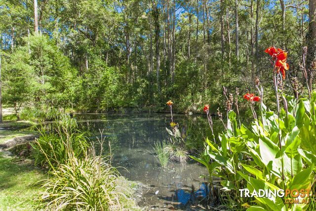 1195 THE BUCKETTS WAY LIMEBURNERS CREEK NSW 2324