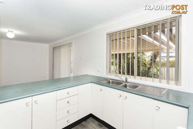 146 Coachwood Drive MEDOWIE NSW 2318