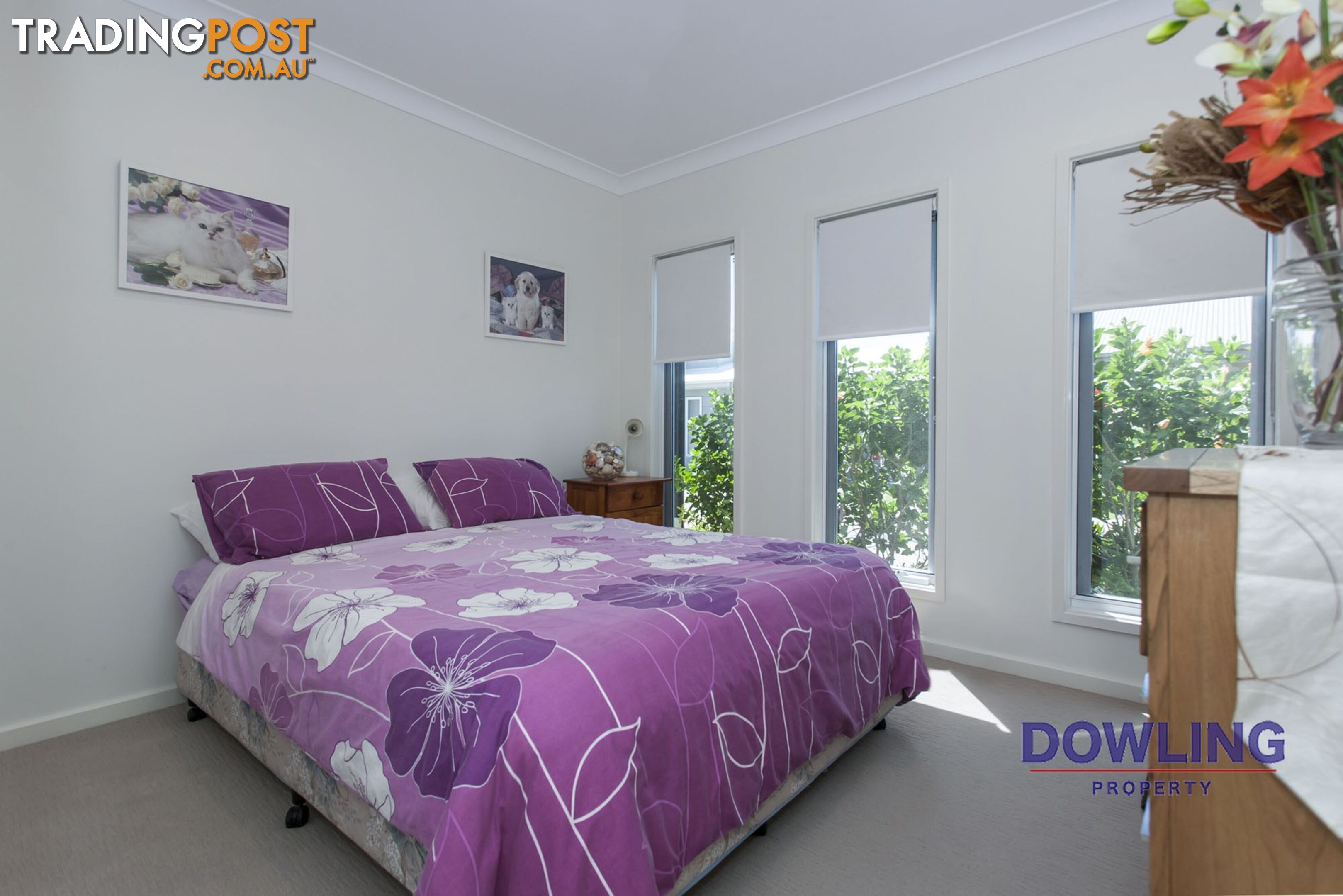 100/1117 Nelson Bay Road FERN BAY NSW 2295