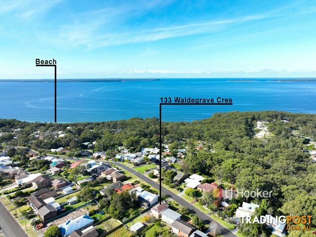 133 Waldegrave Crescent VINCENTIA NSW 2540