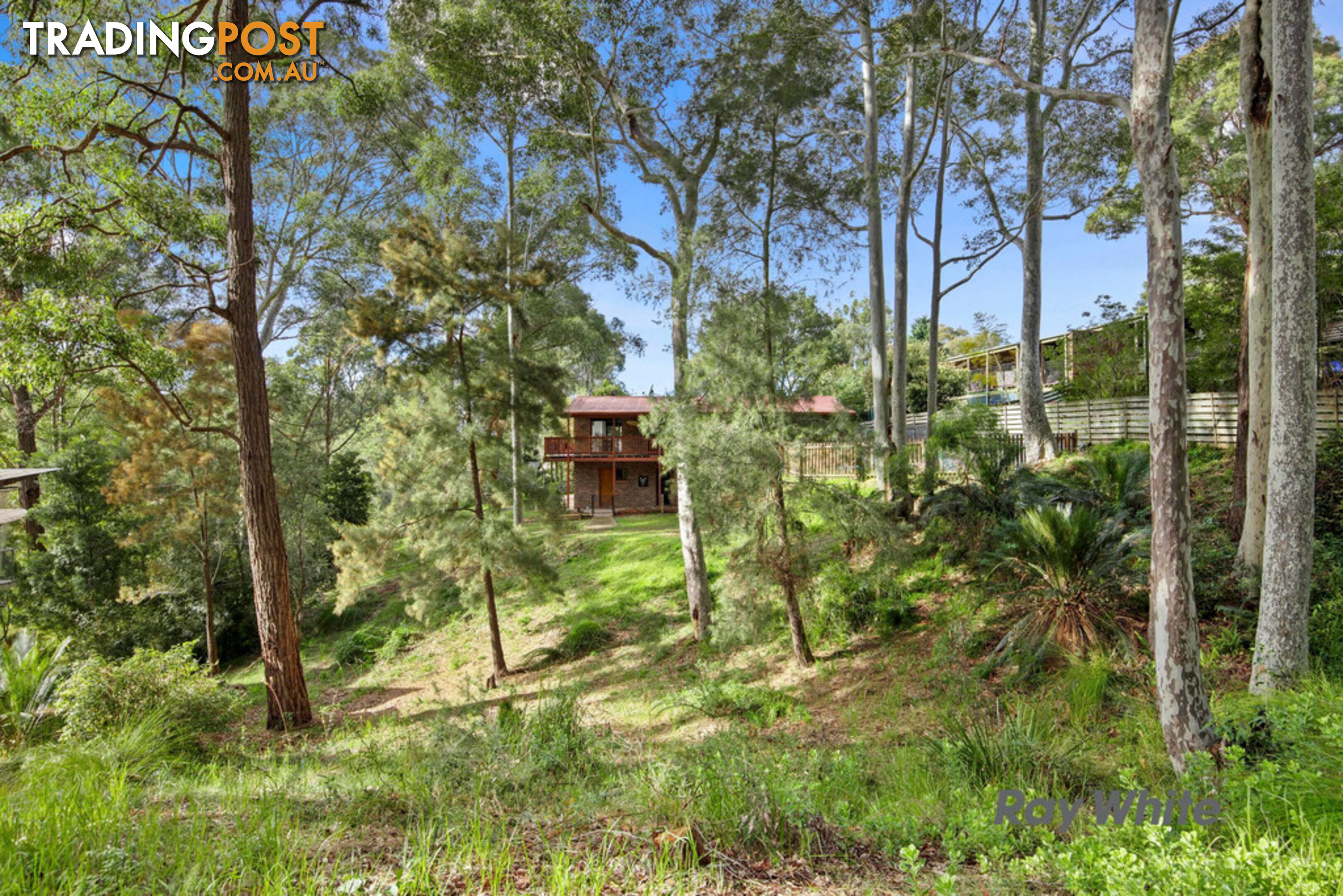 22 Elouera Close LILLI PILLI NSW 2536