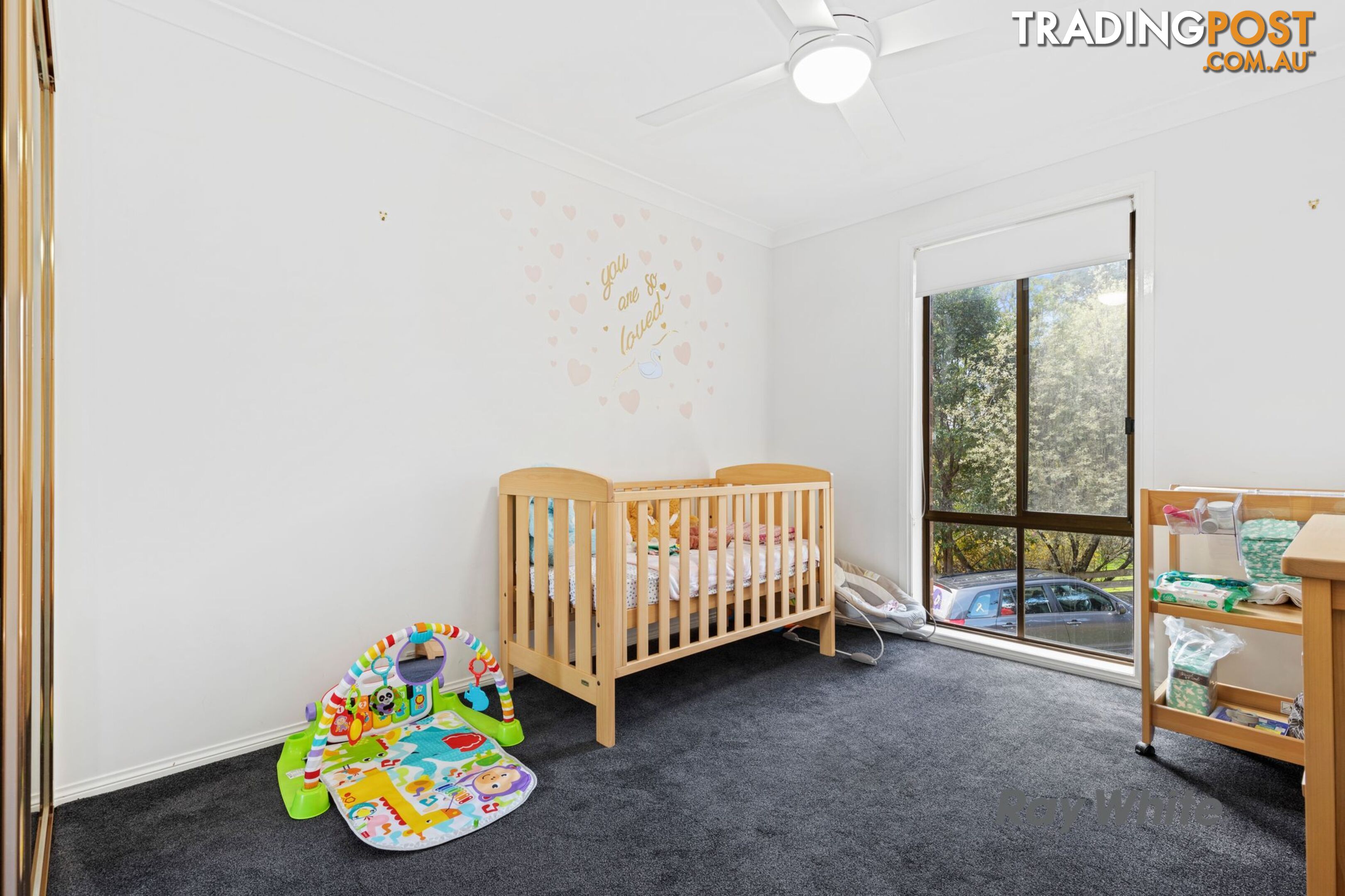 22 Elouera Close LILLI PILLI NSW 2536