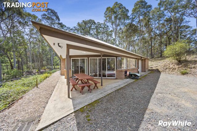 1686 Maulbrooks Road MOGENDOURA NSW 2537