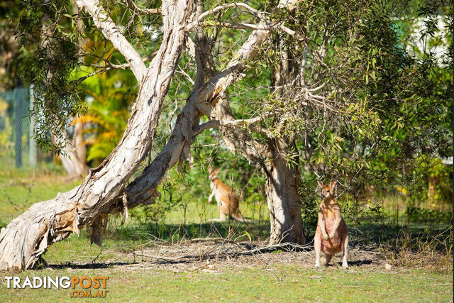 61 9 Wallaby Way South Stradbroke QLD 4216