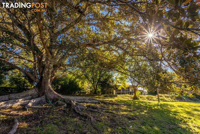 231 Stony Creek Road KIMBRIKI NSW 2429