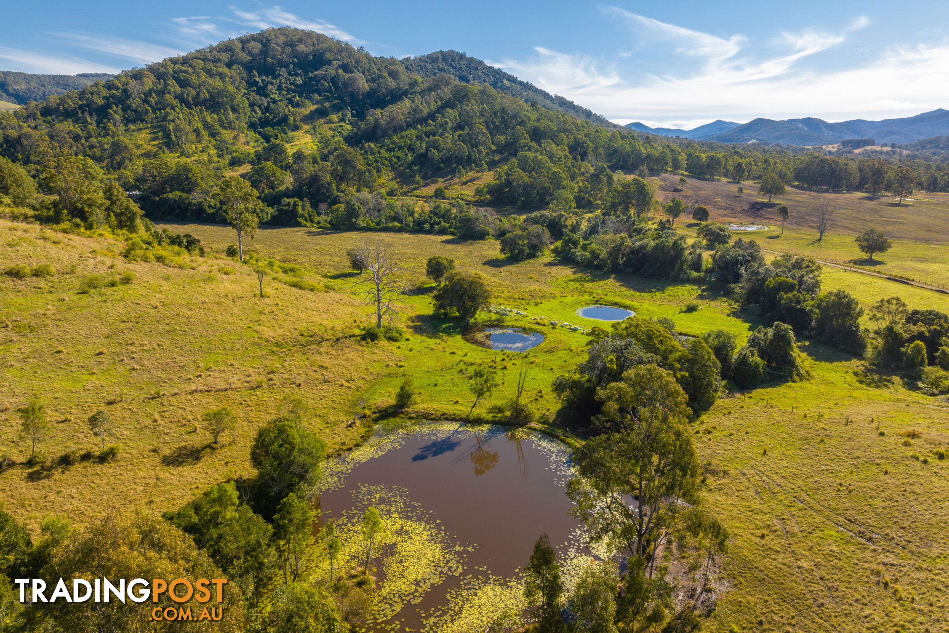 231 Stony Creek Road KIMBRIKI NSW 2429