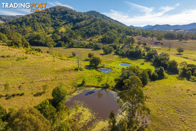 231 Stony Creek Road KIMBRIKI NSW 2429