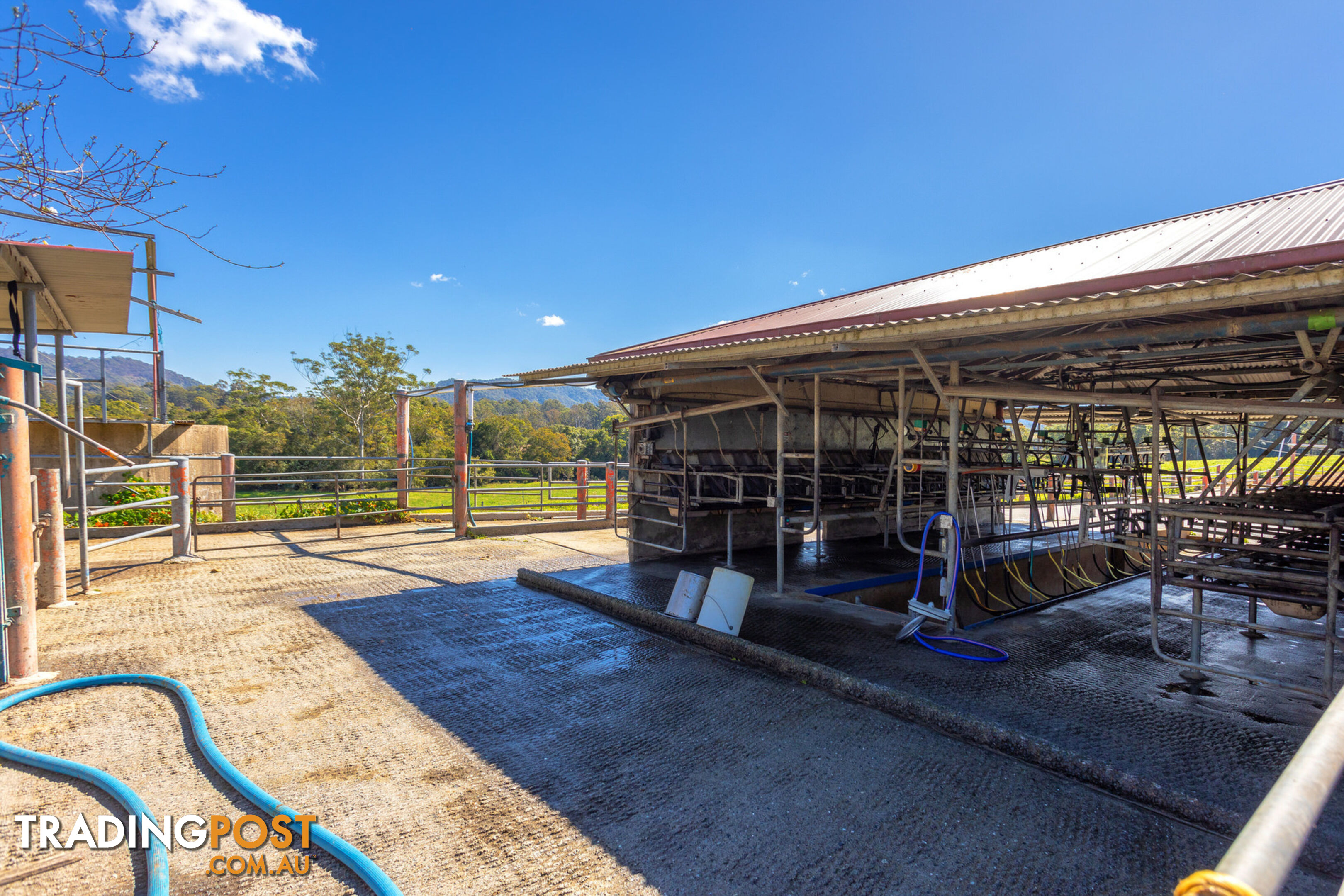 80 Mortons Road KILLABAKH NSW 2429