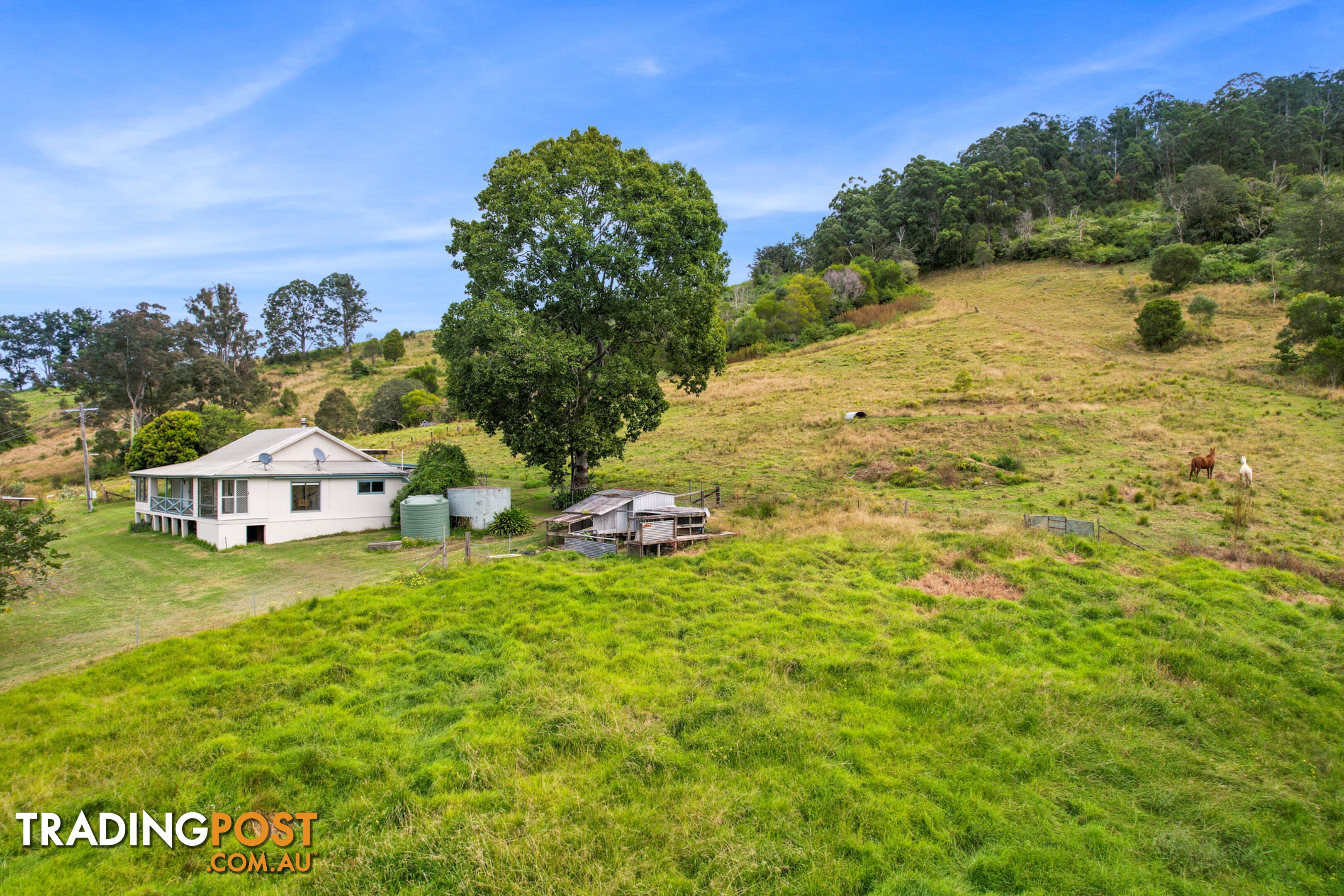 1893 Comboyne Road KILLABAKH NSW 2429