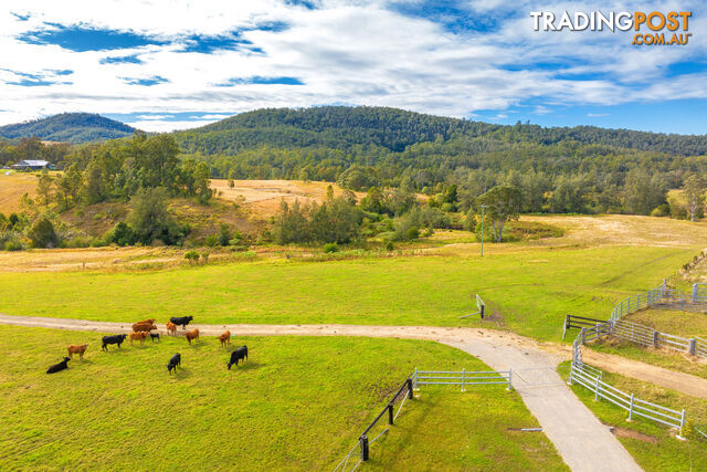 292 Beitibombi Creek Road WHERROL FLAT NSW 2429