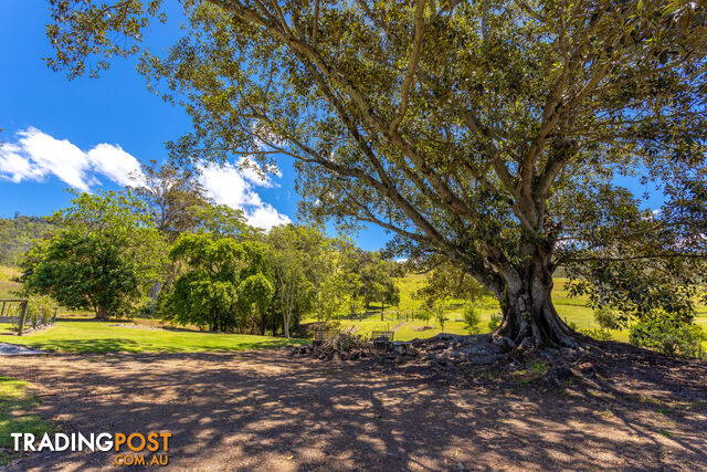 792 Mooral Creek Road STRATHCEDAR NSW 2429