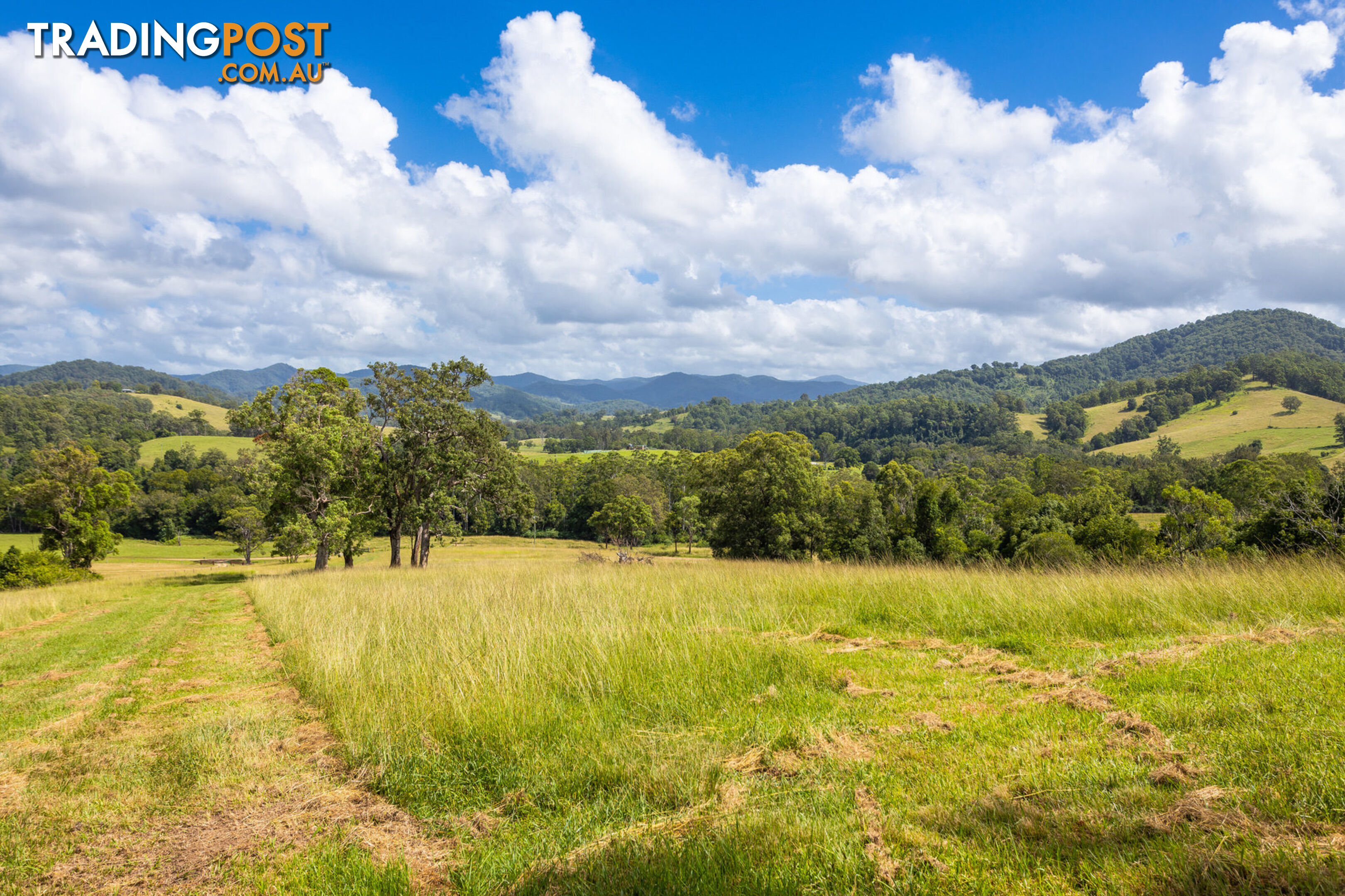 Lot 101 Beitibombi Creek Road WHERROL FLAT NSW 2429