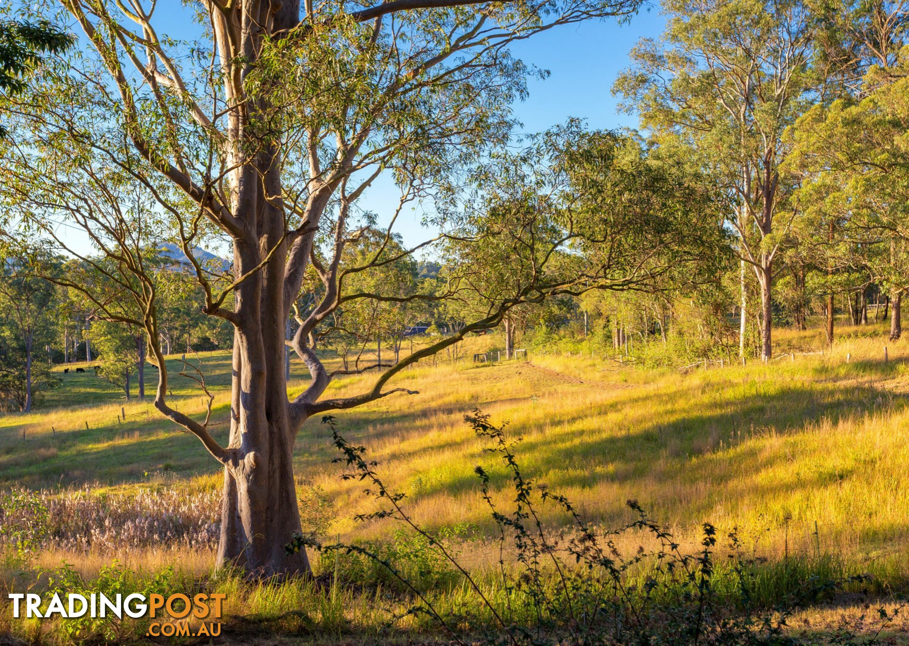 79 Glenyarra Road WINGHAM NSW 2429