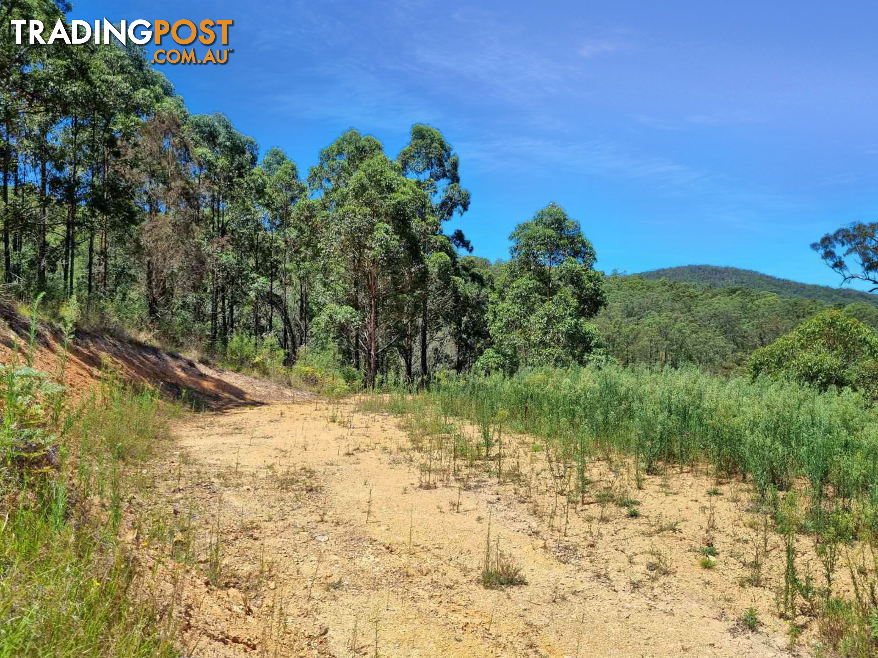 Lot 48 Robinson Road MARLEE NSW 2429