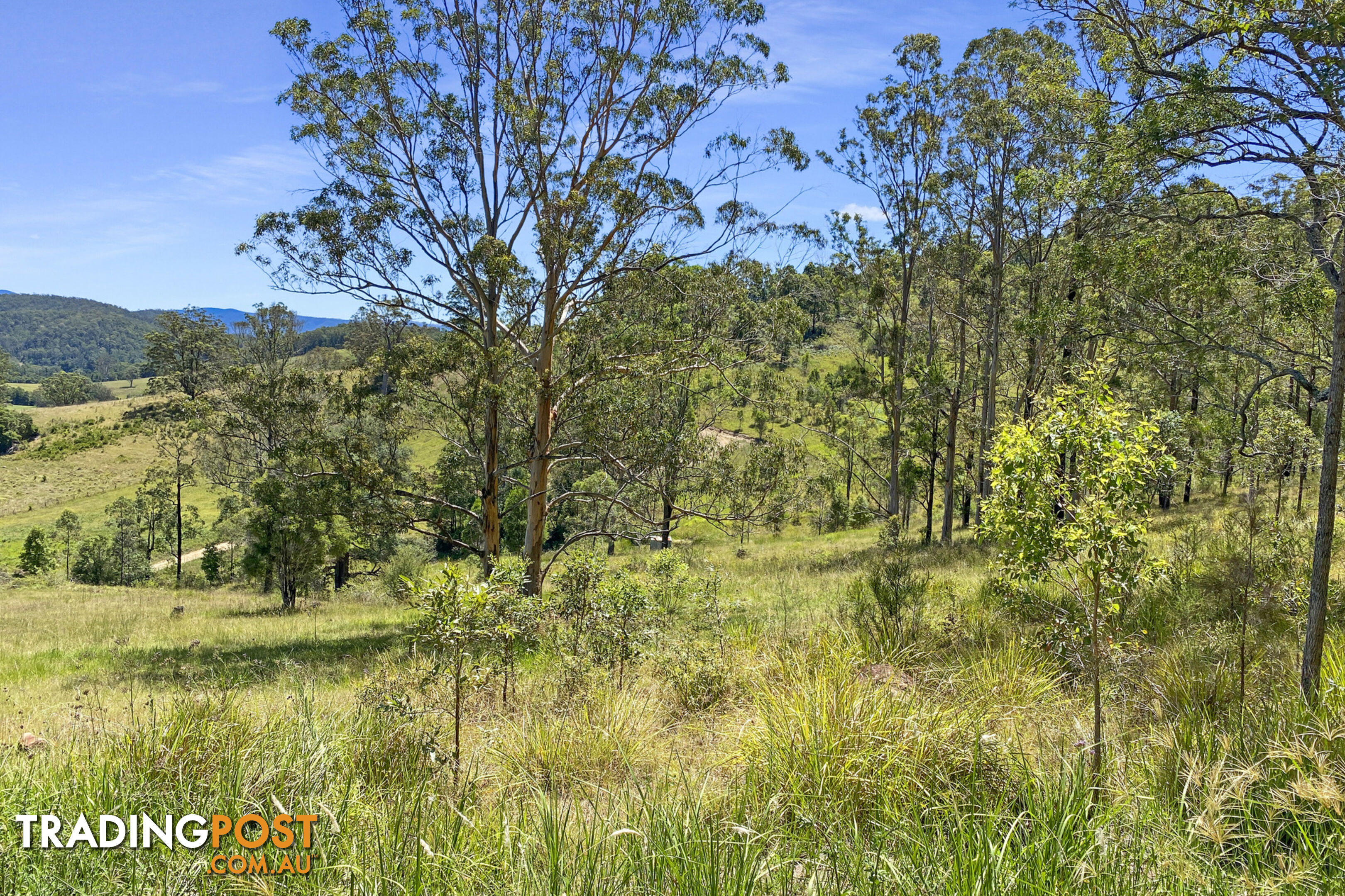 Lot 48 Robinson Road MARLEE NSW 2429