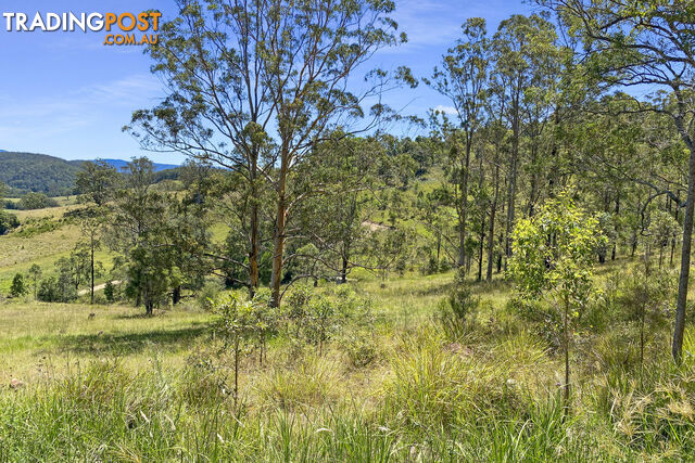 Lot 48 Robinson Road MARLEE NSW 2429