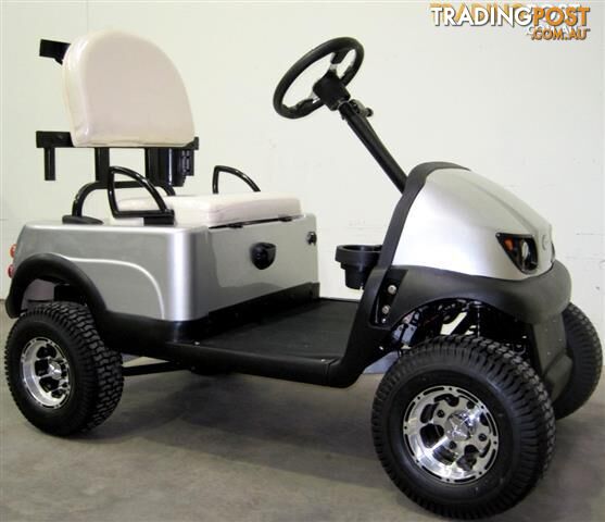 SCORPION golf cart buggy NEW MODEL SG2000