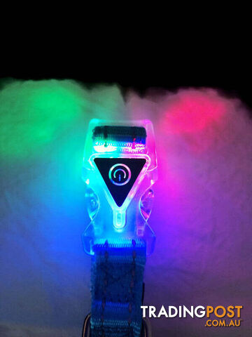 Dog Collar LED Flashing Light Buckle, Reflective Stitching - Moondidley Pets -...