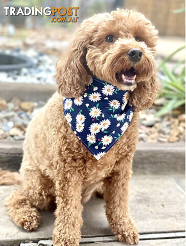 #3 Daisy's Reversible Pet Bandana - Octavia's Pup Shop - OCYBAN3-DAI-SM