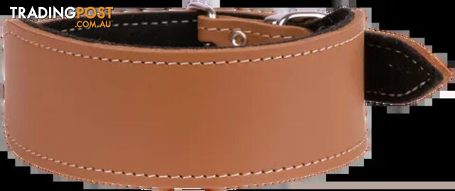Greyhound Felt Lined Leather Collar - Beau Pets - BP-3001601 - photo 2 of 3