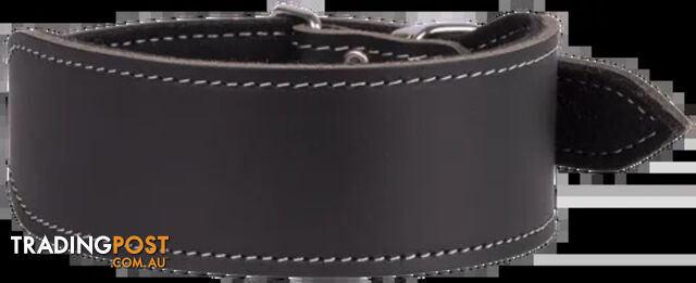 Greyhound Felt Lined Leather Collar - Beau Pets - BP-3001601