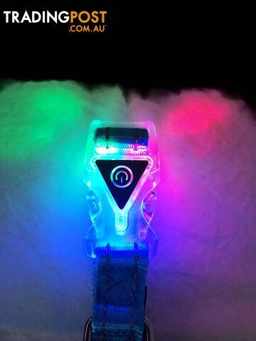 Dog Collar LED Flashing Light Buckle, Reflective Stitching - Moondidley Pets -...